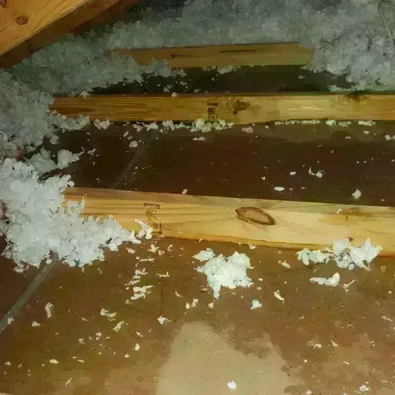 Attic Water Damage in Arlington, GA