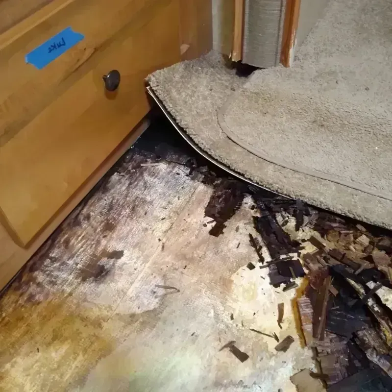 Best Wood Floor Water Damage Service in Arlington, GA